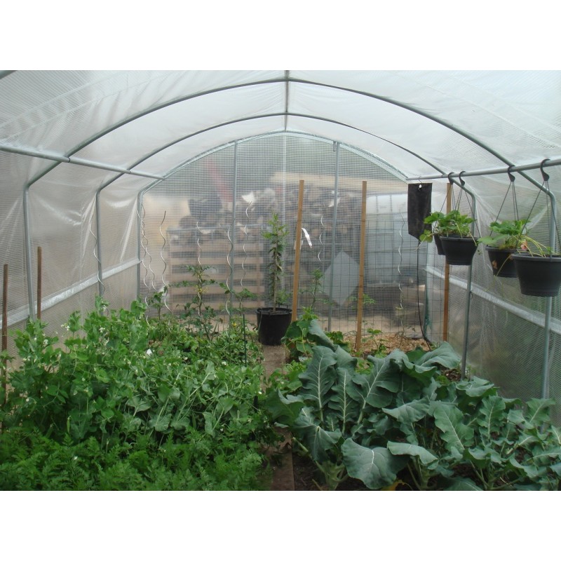 Serre de Jardin 2x2 m avec Filets Anti-Insectes en Polyéthylène et