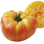 Tomate Ananas Jaune Bio