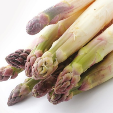 Asperge Argenteuil Non Traitée