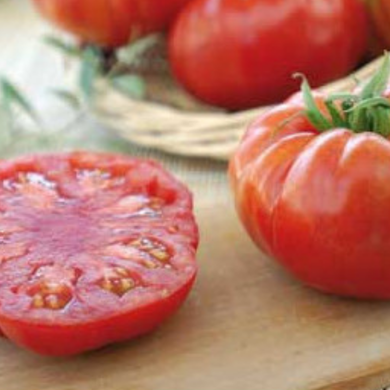 Tomate Marbonne F1
