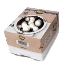 Kit de culture pour champignons blancs de paris bio 25x20x15 cm : Kits  potagers prêts-à-l'emploi RADIS ET CAPUCINE potager et verger - botanic®