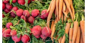 Quelles plantes associer ou éviter avec la carotte ?