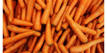 Quels sont les bienfaits de la carotte ?