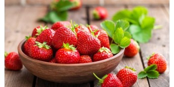 Quelles plantes associer ou éviter avec la fraise ?